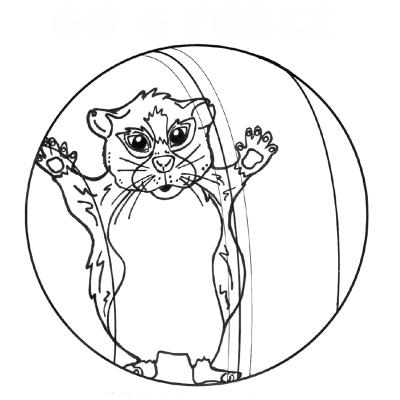 Ourcoloringpage G Force 7