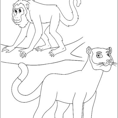 Ourcoloringpage Go Diego Go 14