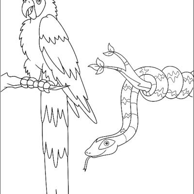 Ourcoloringpage Go Diego Go 15