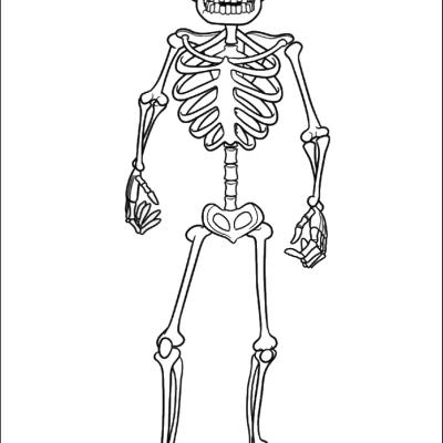 Ourcoloringpage Hotel Transylvania 12