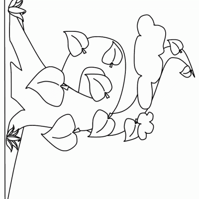 Ourcoloringpage Jack Beanstalk 24