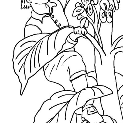 Ourcoloringpage Jack Beanstalk 6