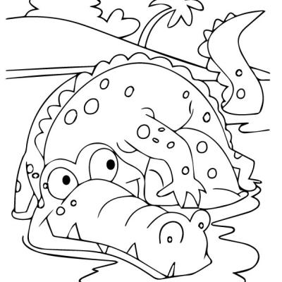 Ourcoloringpage Alligators 11