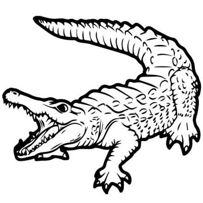 Ourcoloringpage Alligators 15