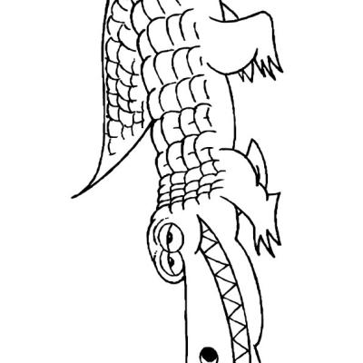 Ourcoloringpage Alligators 24