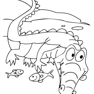 Ourcoloringpage Alligators 6