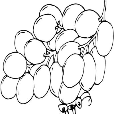 Ourcoloringpage Ants 12