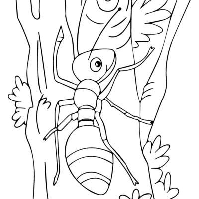 Ourcoloringpage Ants 16
