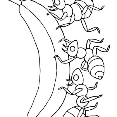 Ourcoloringpage Ants 3