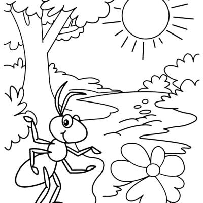 Ourcoloringpage Ants 5