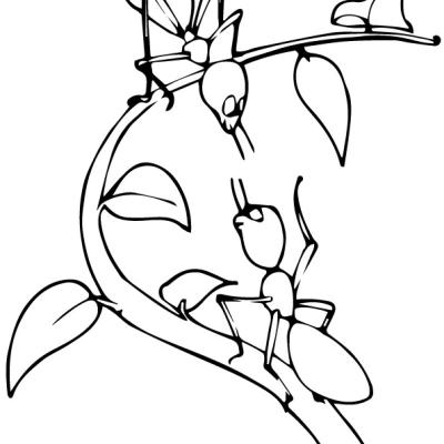 Ourcoloringpage Ants 7