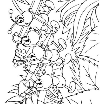 Ourcoloringpage Ants 9