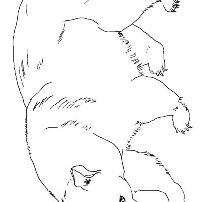 Ourcoloringpage Bear 18