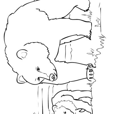 Ourcoloringpage Bear 7