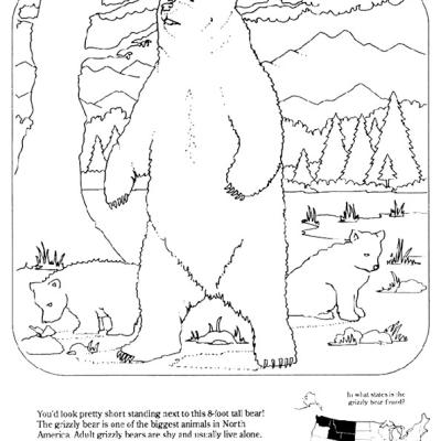 Ourcoloringpage Bear 8