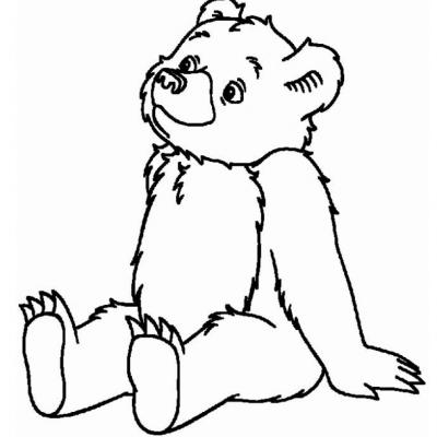 Bear Coloring Pages - Explore the Wonderful World of Bears with Fun Coloring Activities!