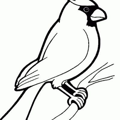 Ourcoloringpage Bear 14