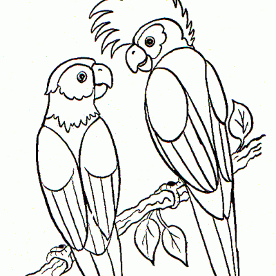 Ourcoloringpage Bear 17