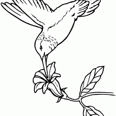 Ourcoloringpage Bear 18