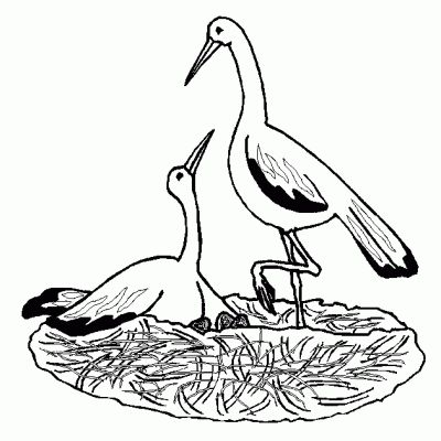 Ourcoloringpage Bear 19