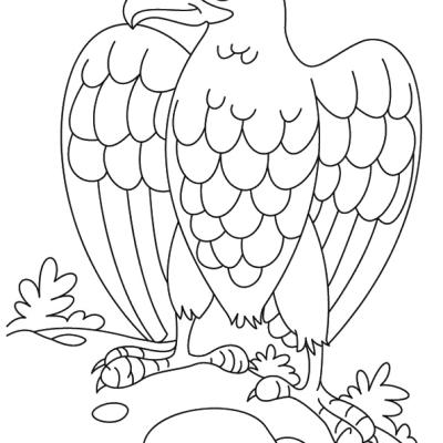 Ourcoloringpage Bear 27