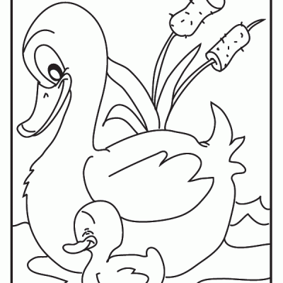 Ourcoloringpage Bear 28