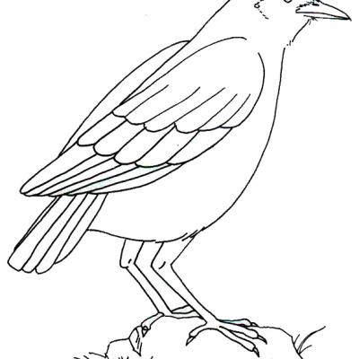 Ourcoloringpage Bear 29