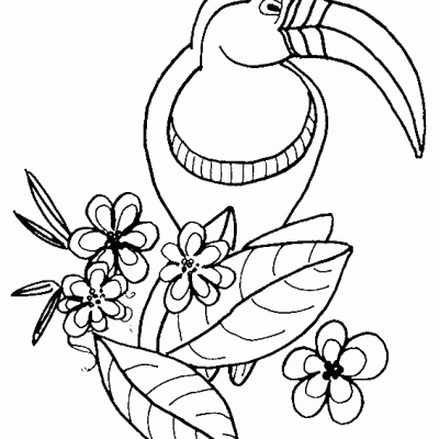 Ourcoloringpage Bear 30