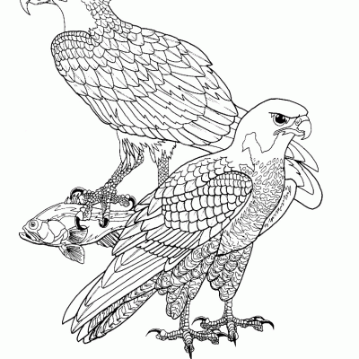 Ourcoloringpage Bear 32