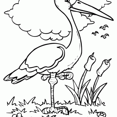 Ourcoloringpage Bear 34