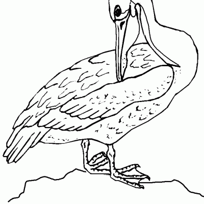 Ourcoloringpage Bear 40