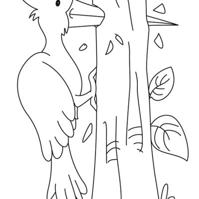Ourcoloringpage Bear 43