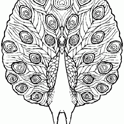 Ourcoloringpage Bear 44