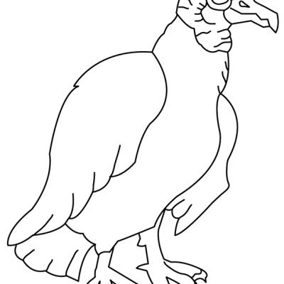Ourcoloringpage Bear 45