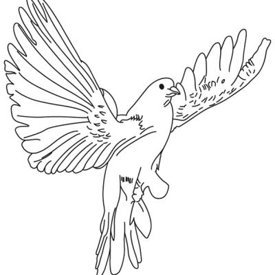 Ourcoloringpage Bear 49