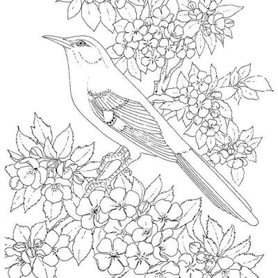 Ourcoloringpage Bear 7