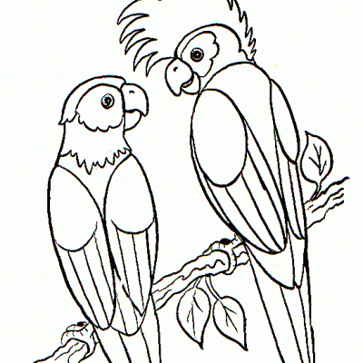 Bird Coloring Pages - Explore the Colorful World of Birds with Exciting Coloring Activities!