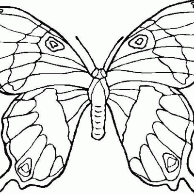 Ourcoloringpage Butterflies 15