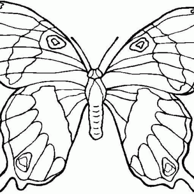 Ourcoloringpage Butterflies 25