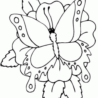 Ourcoloringpage Butterflies 29