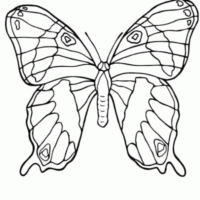 Ourcoloringpage Butterflies 31