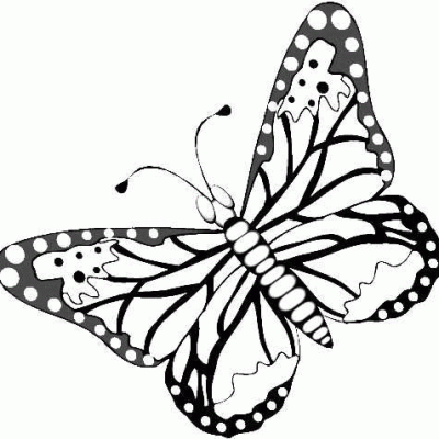 Ourcoloringpage Butterflies 33