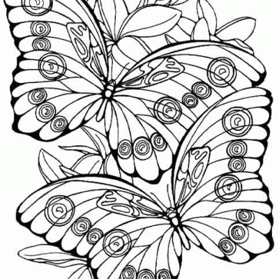 Ourcoloringpage Butterflies 40