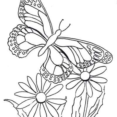 Ourcoloringpage Butterflies 42