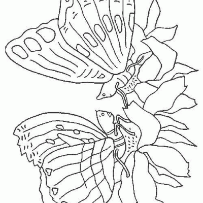 Ourcoloringpage Butterflies 44