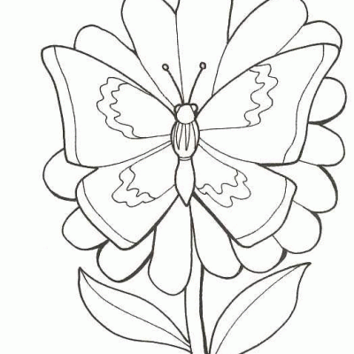 Ourcoloringpage Butterflies 51