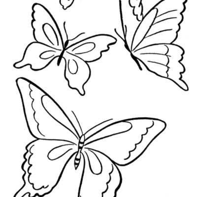 Ourcoloringpage Butterflies 59