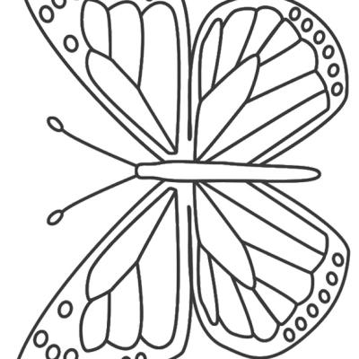 Ourcoloringpage Butterflies 6