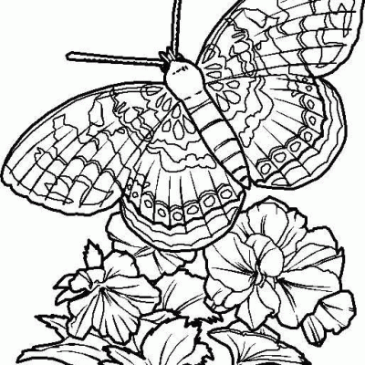 Ourcoloringpage Butterflies 7