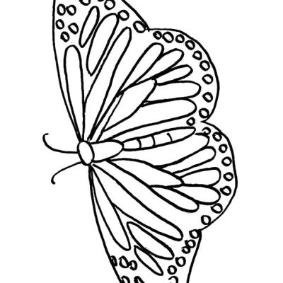Ourcoloringpage Butterflies 8